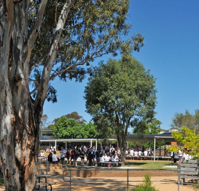 Our playground in the distance with plants and trees surround students sitting down with their peers.